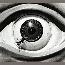 David Wojnarowicz, Untitled (Ant and Eye)