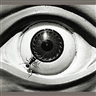 David Wojnarowicz, Untitled (Ant and Eye)