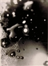 second nature: abstract photography then and now - DeCordova Museum and Sculpture Park