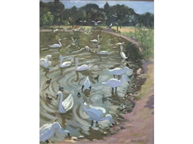 Andrew Macara, Swans on a lake