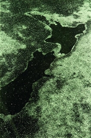 Peter Peryer, New Zealand