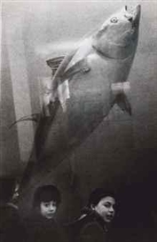 Robert Frank, Untitled (Andrea and Pablo Frank at the Acquarium), 1950s