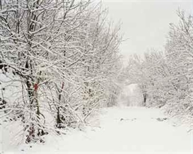 Simon Norfolk, Untitled, from series 'Bosnia Bleed', 17/5/2004