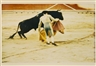 Arthur Siegel, Bullfight, Spain