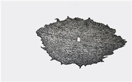 Giuseppe Penone, Palpebra