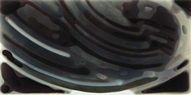 Peter Zimmermann, Lines 8