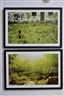 Rosie Kavanavoch, Image of a Floating World: A Pair