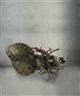 Bharti Kher, An Absence of Assignable Cause