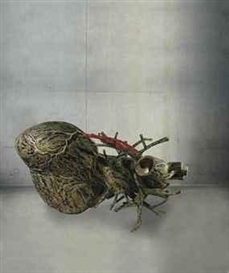 Bharti Kher, An Absence of Assignable Cause