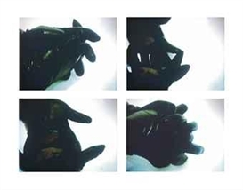 Douglas Gordon, The Left Hand Can't See That the Right Hand is Blind
