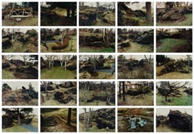 Olafur Eliasson, Twenty five Works: The Park Series