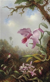Martin Johnson Heade, Hummingbird and Two Types of Orchids