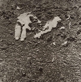 Joan Fontcuberta, Untitled