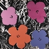 Andy Warhol, FLOWERS