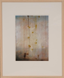 Darren Waterston, VARIATION NO. 12