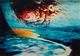 Pipilotti Rist, Pickelporno