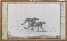 Peter Beard, Hunting Cheetahs on the Taru Desert, Kenya, June