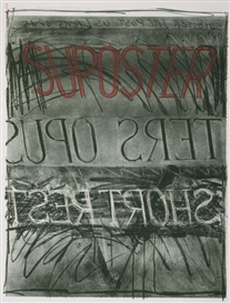 Bruce Nauman, Suposter
