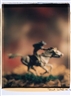 David Levinthal, Untitled (from the series Wild West)