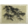 Georgia Marsh, Greensward Elm II