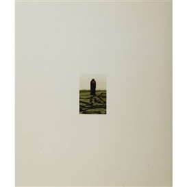 Beverly Semmes, Untitled