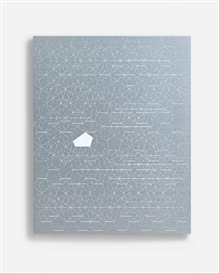 Carsten Nicolai, TAFEL MUSTER PENTAGON 2