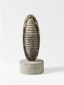 Jaume Plensa, CAP V