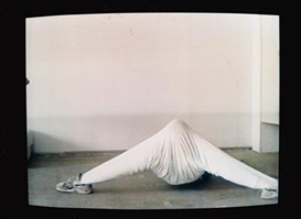 Erwin Wurm, Untitled