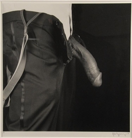 Robert Mapplethorpe, Cock
