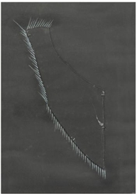 Mario Merz, NOTTURNO