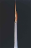 Ma Liuming, Untitled No. 15