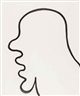 Zhang Dali, Graffiti