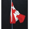 Charles Pachter, The Painted Flag