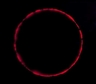 Garry Fabian Miller, Exposure (1 hour of light)