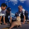 Patricia Piccinini, Social Studies from So2 Series