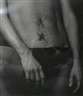 Lewis Morley, Joe Orton's Bird