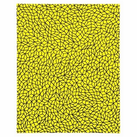Yayoi Kusama, INFINITY NETS