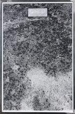 Sophie Calle, FATHER, MOTHER