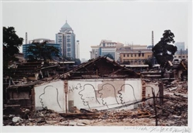 Zhang Dali, DEMOLITION 514A