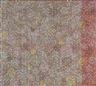 Bharti Kher, Border in Red
