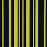 Günter Fruhtrunk, Portfolio.  Horizons