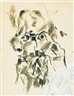 Hans Richter, "Dr. Lehmann"