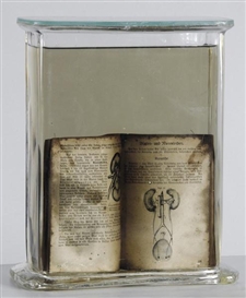 Roman Ondák, From the cycle "Ludské problémy (Human Problems)"