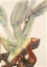 Gottfried Mairwöger, Chestnut Buds