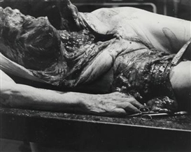 Hermann Nitsch, Untitled