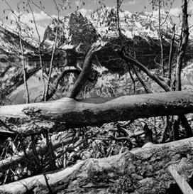 Lee Friedlander, Tetons