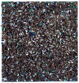 Marcel Broodthaers, Surface de moules (avec sac) (Surface of mussels (with bag))