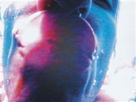 Pipilotti Rist, Pierre I