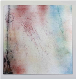 Rosemarie Trockel, Surprise