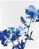 James Welling, #003